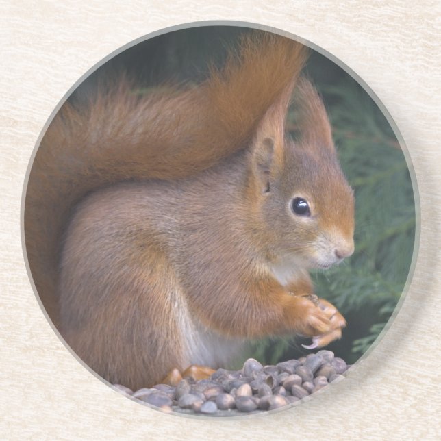 Nut Brunch-Untersetzer Getränkeuntersetzer (Vorne)