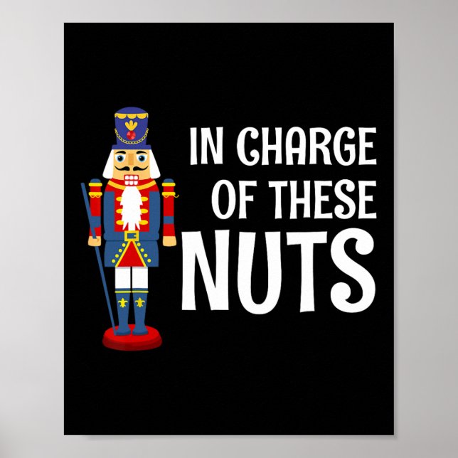 Nutcracker Costume Dancer Ballerina Weihnachtsgesc Poster (Vorne)