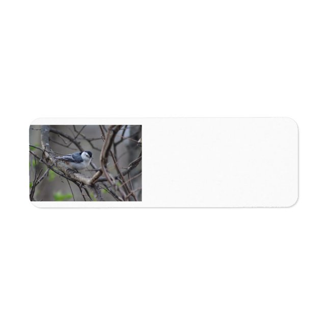 Nuthatch-Adressetikett (Vorne)