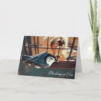 Nuthatch am Züchter - Leere Gedanken an deine Kart