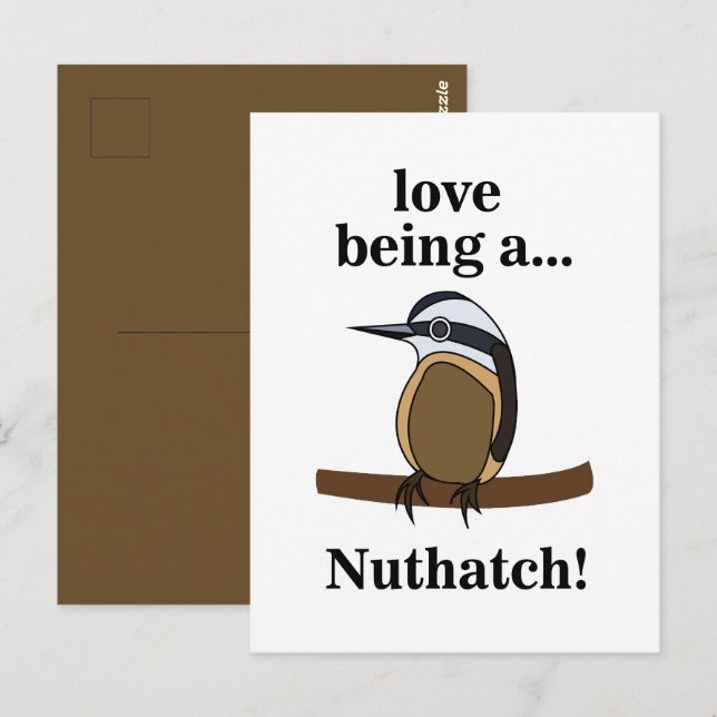 Nuthatch Bird Backyard Birder Birdwatcher Postkarte (Vorne/Hinten)