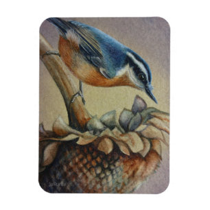 Nuthatch Bird und Sonnenblumen Samen Wasserfarbe K Magnet