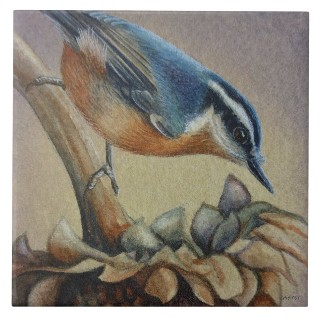 Nuthatch Bird und Sunflower Seeds Kunst, Dichtung  Fliese (Vorderseite)