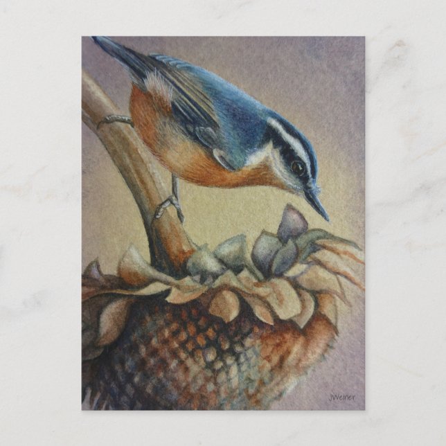 Nuthatch Bird und Sunflower Seeds Kunst, Dichtung  Postkarte (Vorderseite)
