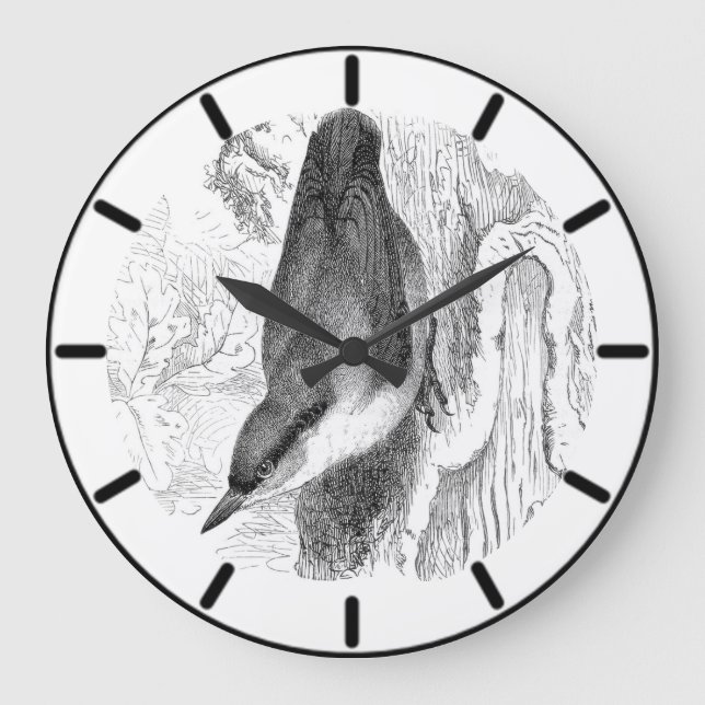 Nuthatch British Bird Large Clock Große Wanduhr (Vorderseite)
