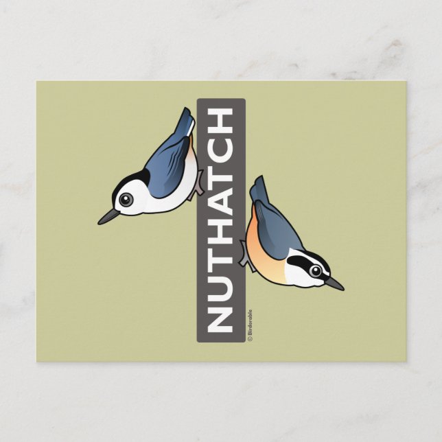 Nuthatch Fan Postkarte (Vorderseite)