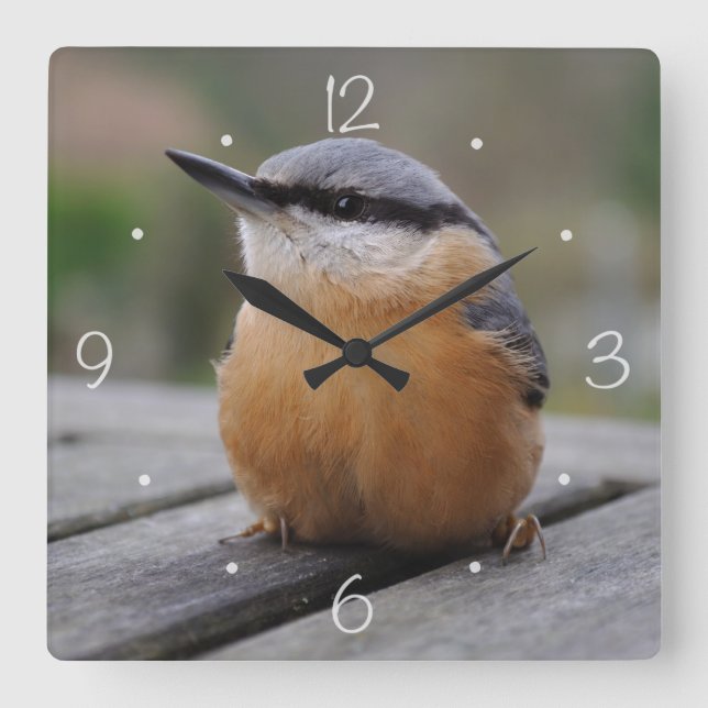 Nuthatch-Foto Quadratische Wanduhr (Vorderseite)
