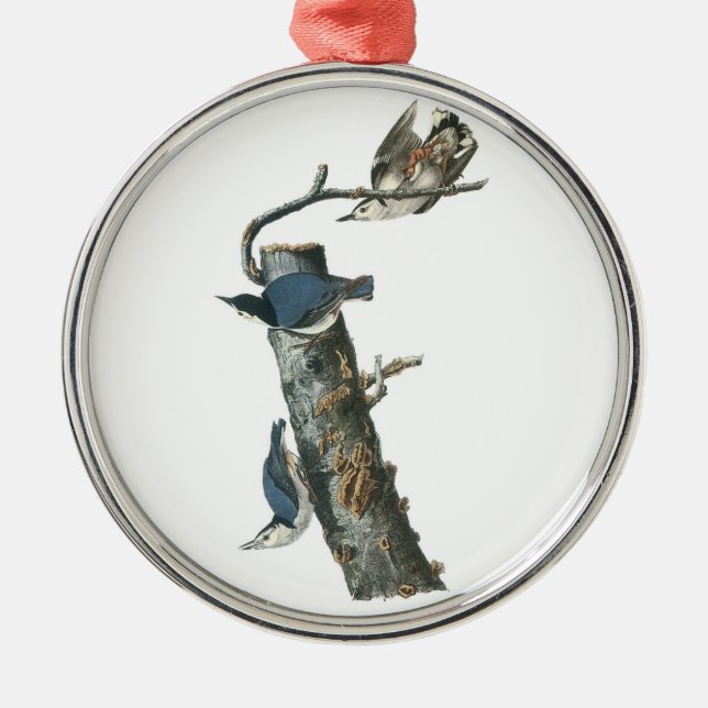 Nuthatch in weißer Brühe von Audubon Ornament Aus Metall (Vorne)