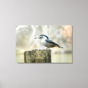 Nuthatch mit Sonnenblumenpflanzenfutter Leinwanddruck
