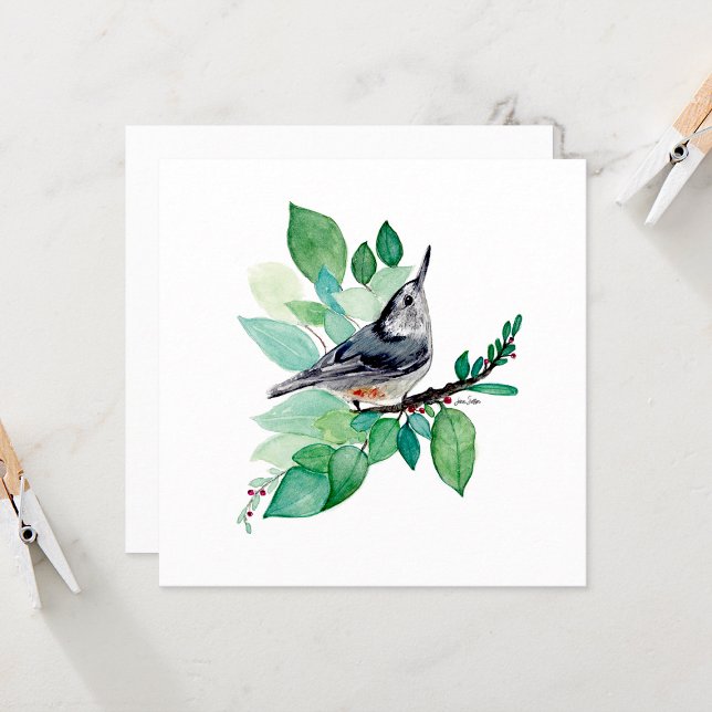 Nuthatch-Mitteilungskarten (Nuthatch Elegant Watercolor blank square note cards from Jenn Steffen Art)