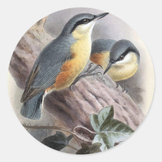 Nuthatch Runder Aufkleber
