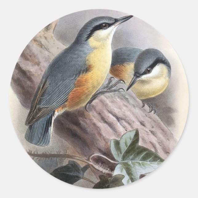 Nuthatch Runder Aufkleber (Vorderseite)
