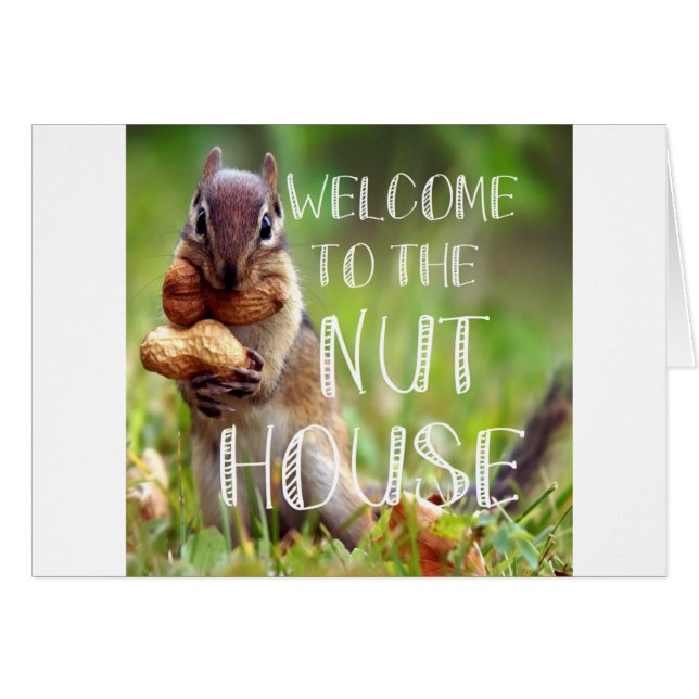 NUTHOUSE (Vorderseite (Horizontal))