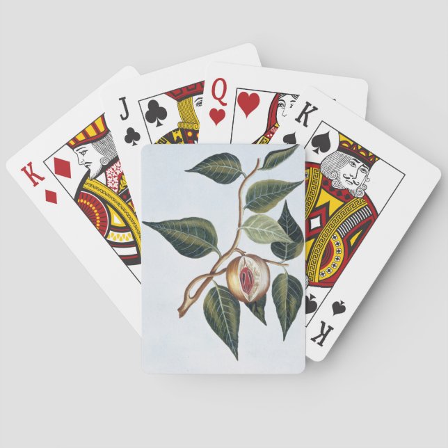 Nutmeg, Plattform 7, from 'Precieuse and Enl Colle Spielkarten (Rückseite)