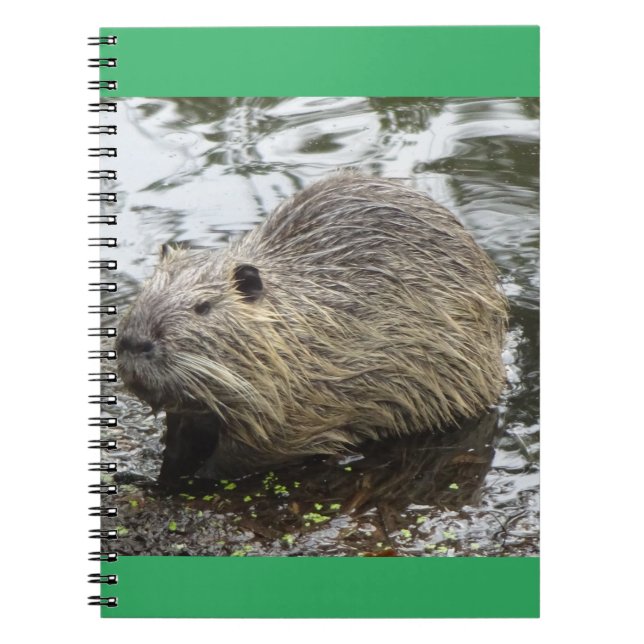 Nutria Notebook Notizblock (Vorderseite)