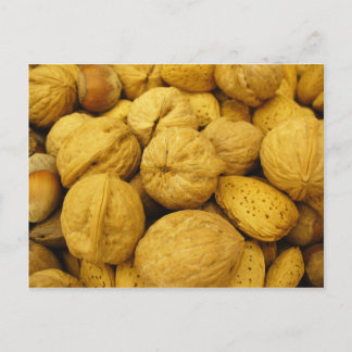 Nuts Postkarte 001