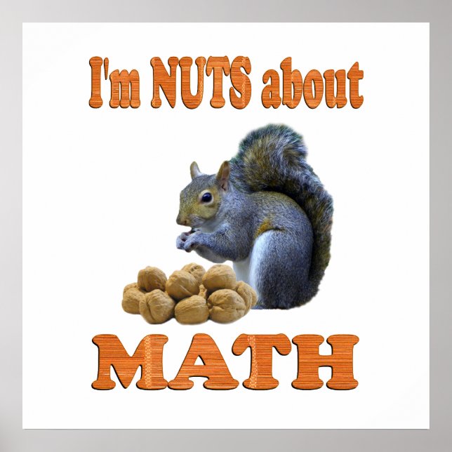 Nuts über Mathe Poster (Vorne)