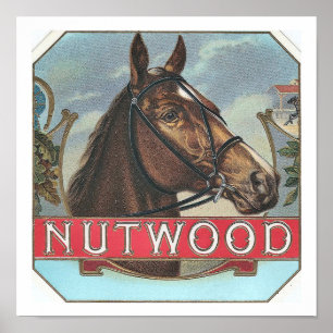 Nutwood Famous Vintag Racehorse Poster