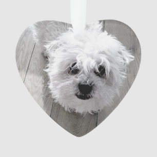 NUTZEN IN UNSEREM HERZEN Pet Memorial FOTO Keepake Ornament