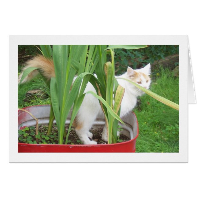 NUTZEN SIE DIE ZEIT, UM ZU SPIELEN, IST ES "IHR GE (Vorderseite (Horizontal))