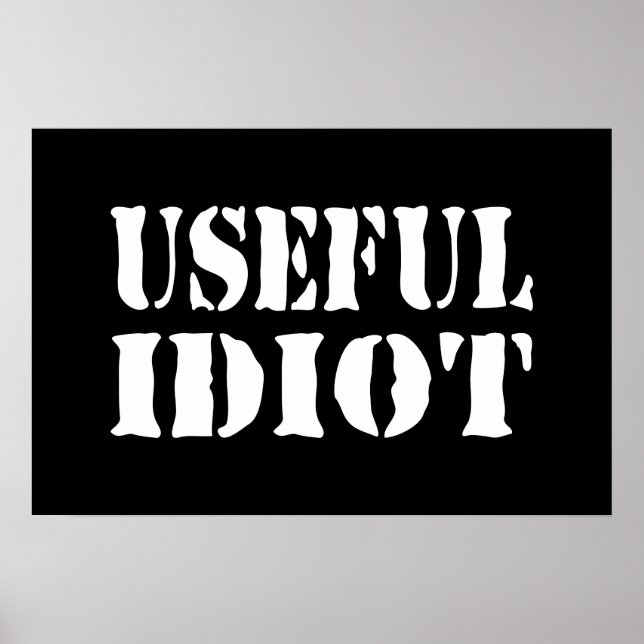 NÜTZLICHES IDIOT POSTER (Vorne)