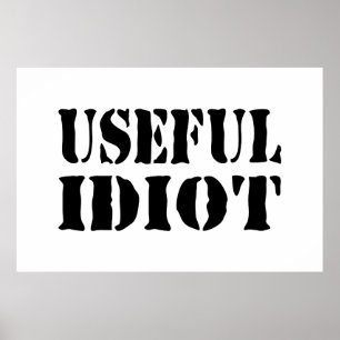 NÜTZLICHES IDIOT POSTER