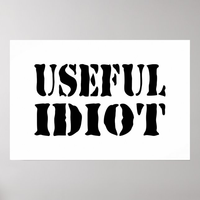 NÜTZLICHES IDIOT POSTER (Vorne)