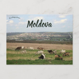 Nutztierhaltung in Chisinau Moldawien Postkarte