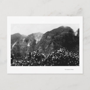 Nuuanu Tal, Hawaii - Aussicht auf Herbst Postkarte