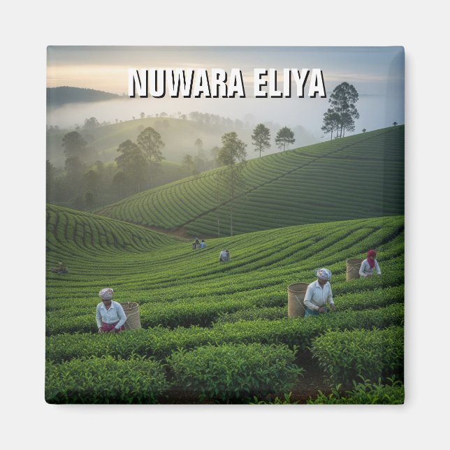 Nuwara Eliya Tea Plantation Sri Lanka Magnet (Vorne)