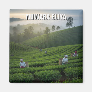 Nuwara Eliya Teeplantage Sri Lanka Magnet
