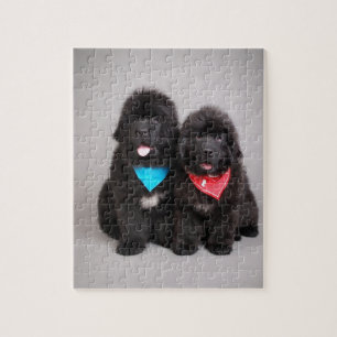 Nuwfie Brüder Puzzle