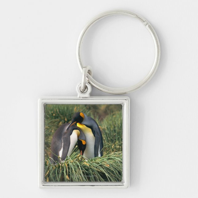 Nuzzling König-Pinguine Schlüsselanhänger (Vorne)