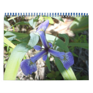 NY durch Fotos Kalender