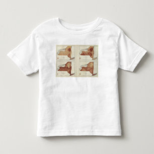 NY Niederschlag, Bevölkerung, Aufzug, Temperatur Kleinkind T-shirt
