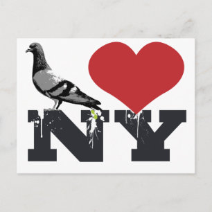 NY Pigeon Postkarte