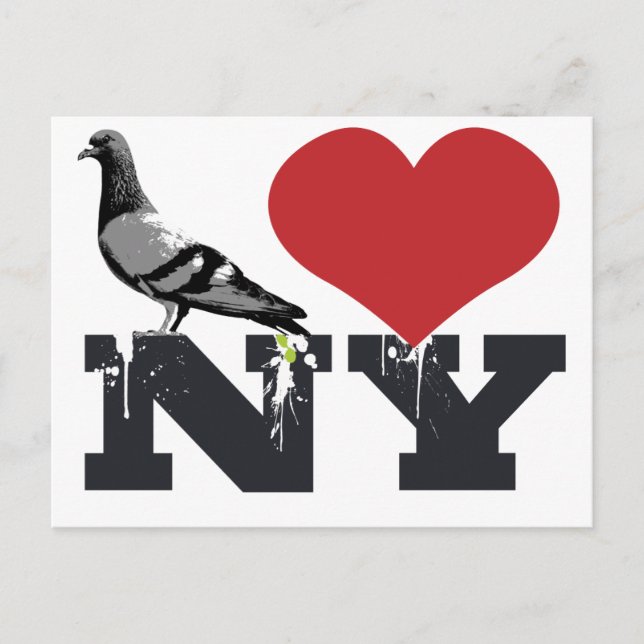 NY Pigeon Postkarte (Vorderseite)