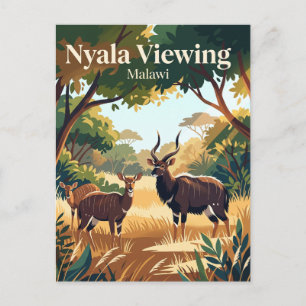 Nyala-Beobachtung, Lengwe-Nationalpark Malawi Postkarte