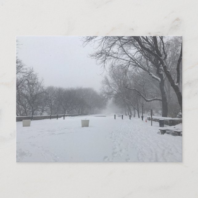NYC Blizzard Upper West Side Riverside Park Snow Postkarte (Vorderseite)