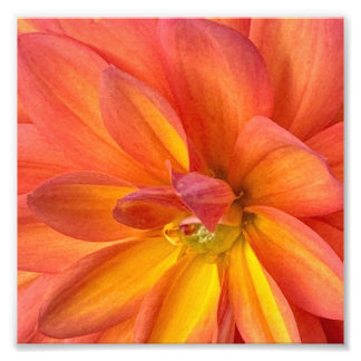 NYC Blumen Fotodruck