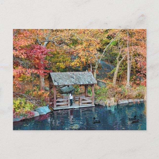 NYC Central Park Herbst, The Lake & Little Dock Postkarte (Vorderseite)
