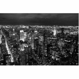 NYC FREISTEHENDE FOTOSKULPTUR 