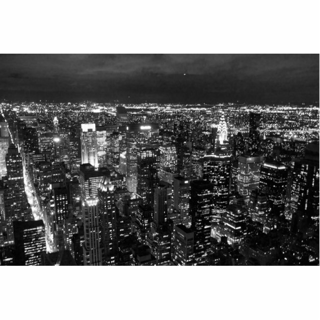 NYC FREISTEHENDE FOTOSKULPTUR  (Vorne)