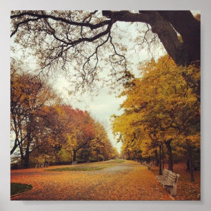 NYC Riverside Park New York Herbst Kunst Poster