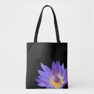 Nymphaea
