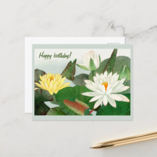 Nymphaea lotus , Alles Gute zum Geburtstag  Postkarte
