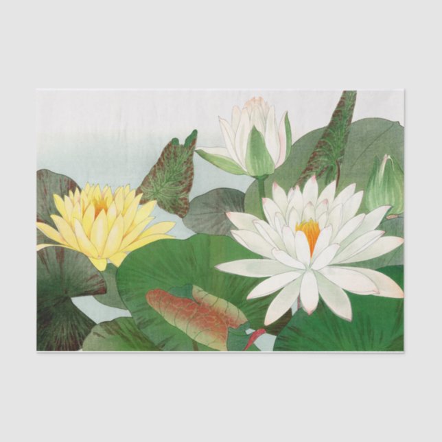 Nymphaea lotus, Decoupage Seidenpapier (Vorderseite)