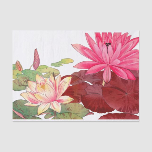 Nymphaea lotus, Decoupage Seidenpapier (Vorderseite)