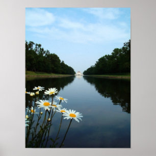 Nymphenburg-Blume Poster