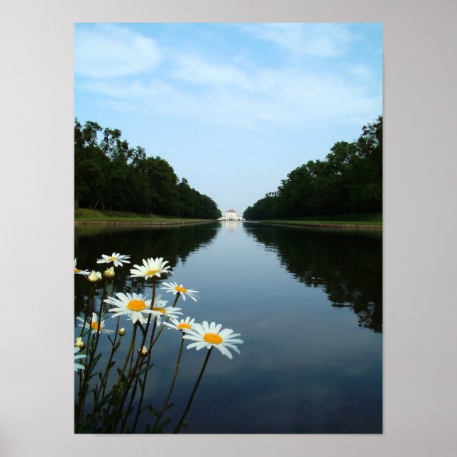 Nymphenburg-Blume Poster (Vorne)